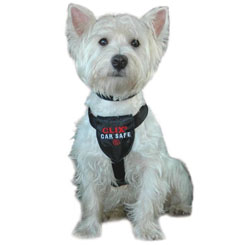 Car Safe Dog Harnesses