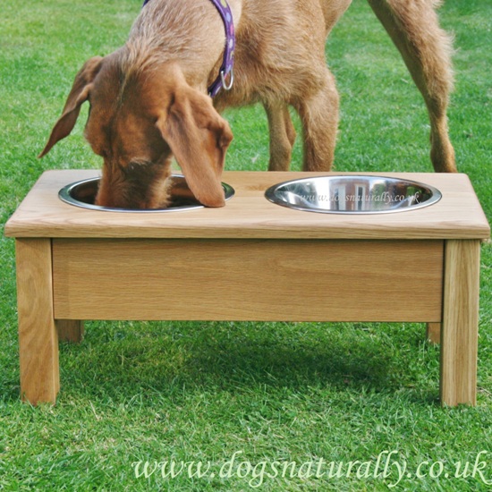 http://www.dogsnaturally.co.uk/file-manager/Products/twin-oak-stand-main.jpg