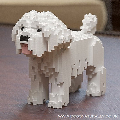 Poodle Jekca (Dog Lego)