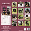 Rottweiler Puppy Calendar