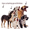 Dog Song - Birthday Card