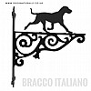 Bracco Italiano Ornate Wall Bracket