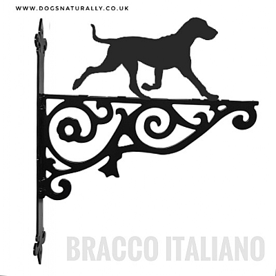 Bracco Italiano Ornate Wall Bracket