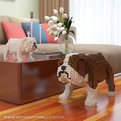 English Bulldog Jekca (Dog Lego)