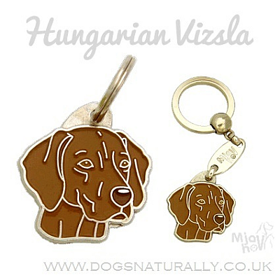 Hungarian Vizsla Dog Tag