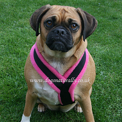 Pink Fleece Dog Harnesses Sizes 0 - 5