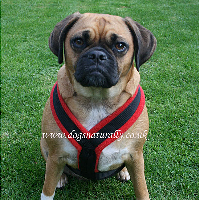 Red Fleece Dog Harnesses Sizes 0 - 4