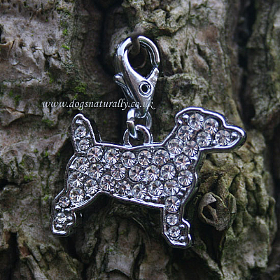 Jack Russell Crystal Dog Charm