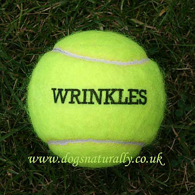 4x Yellow Personalised Tennis Balls