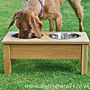Luxury Oak Twin Raised Dog Bowl Stand