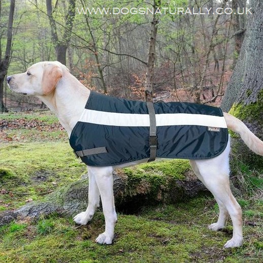 Navy Blue Flecta Hi Visibility Dog Coat | Dogs Naturally