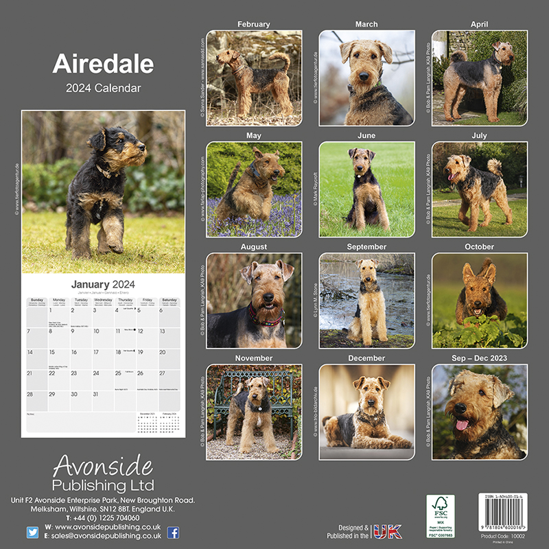 Airedale Calendar 2024 (Square) | Dogs Naturally