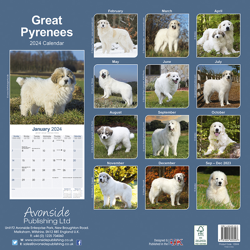 Great Pyrenees Calendar 2024 (Square) | Dogs Naturally
