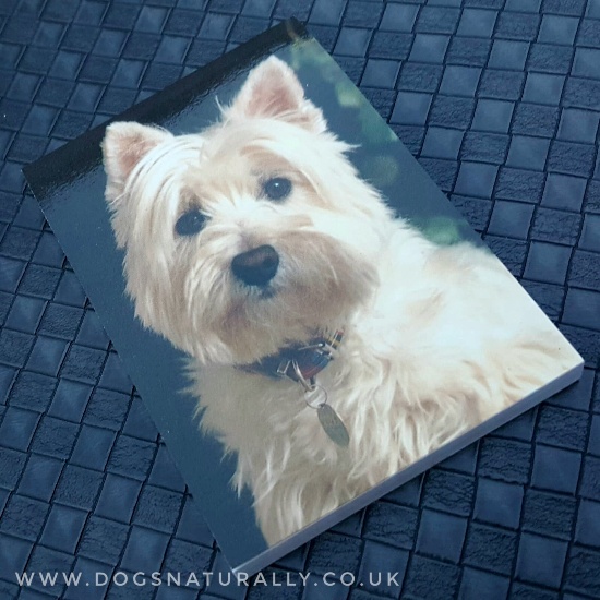 Westie Magnetic Notepad Standard | Dogs Naturally