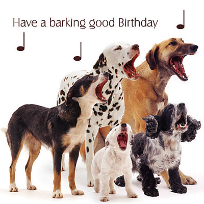 Dog Song Birthday Card