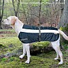 Flecta Hi Vi Dog Coat/Jacket Navy