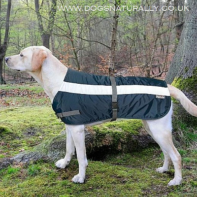Flecta Hi Visibility Dog Coat (Navy Blue)