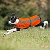 Flecta Hi Vi Dog Coat/Jacket Orange