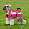 Flecta Hi Vi Dog Coat/Jacket Pink