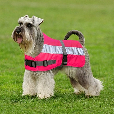 Flecta Hi Visibility Dog Coat (Pink)