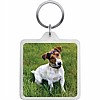 Jack Russell Key Ring