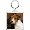 Parson Jack Russell Key Ring
