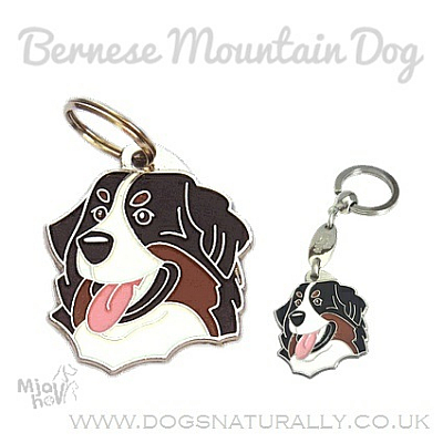 Bernese Mountain Dog ID Tag