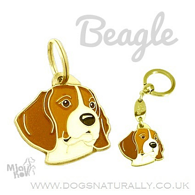 Beagle Dog Tag